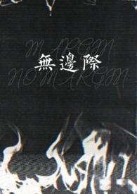 无边际泳池价格多少