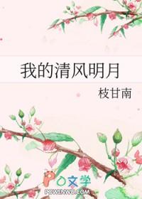 清风明月我沾衣什么意思