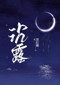 沉露(1v2双胞胎)完结了吗