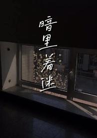 暗里着迷完结