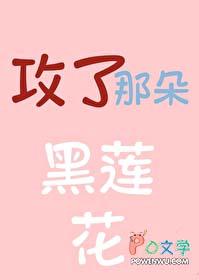 攻了那朵黑莲花txt