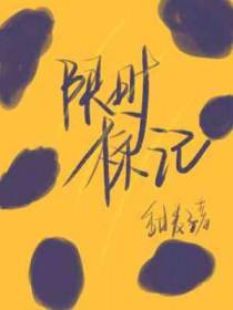 限时标记百度