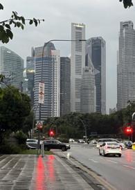 丛林法则游戏视频