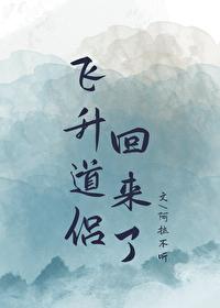 飞升之后 简介
