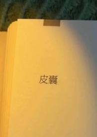 H)_皮囊(出轨