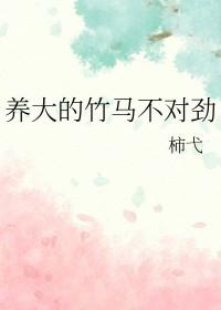 竹马饲养记事讲的什么