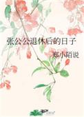 张公公退休后的日子txt
