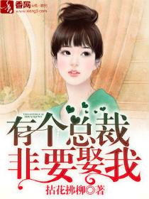 总裁要娶我2
