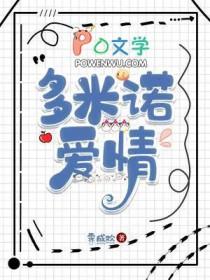 多米诺bd完整