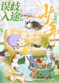 误入歧途的少年是猫咪啊免费阅读