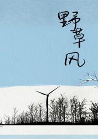 野草风短剧全集免费观看