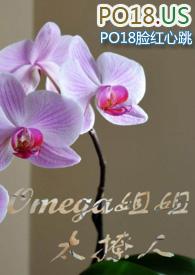 omega姐姐太撩人txt全文阅读