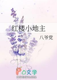 红楼小地主zip