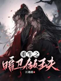 重生之暗卫做王夫的免费阅读