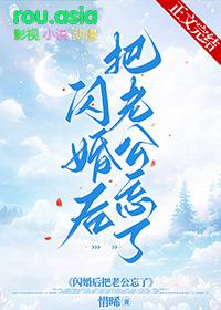 闪婚后把老公忘了的免费阅读