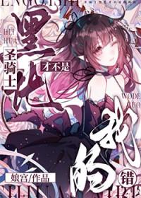 黑化圣骑士 作者雾矢翊