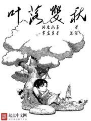 全职高手叶落繁花