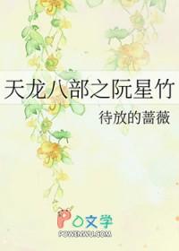 新版天龙八部阮星竹扮演者