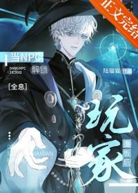 npc怎么样