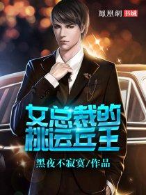 美女总裁的桃运兵王叶
