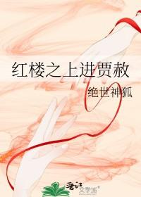 红楼之贾赦很忙全文