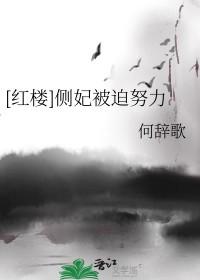 侧妃类