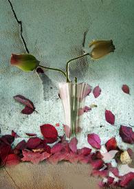 酒香作者