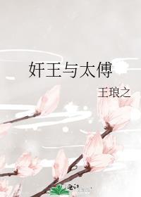 太傅和皇上的有哪些