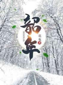 韶年by花曳讲了什么故事
