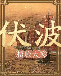 伏波将军简介