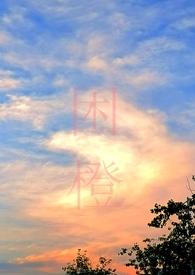 困城蔺观川