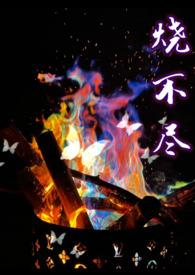 烧不尽春风吹又生