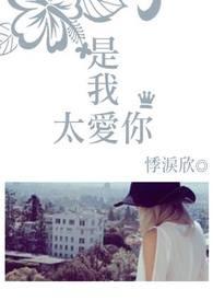 是我太过于爱你是什么意思呢