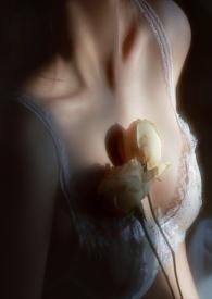 疯狗成群(NPHABO)作者逼逼鸡