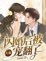 闪婚大叔超凶猛