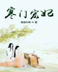 穿越之寒门宠妃