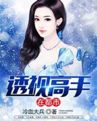透视高手全文