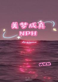美梦成真1.0