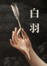 男主白羽