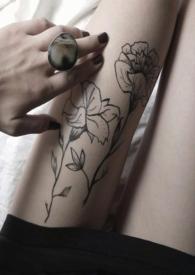 金丝雀居然啄我欢喜安年