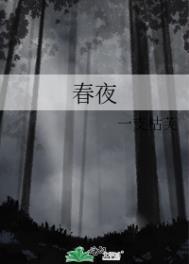 春夜喜雨翻译