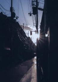 你是我的曙光免费阅读