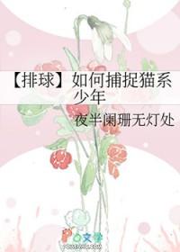 猫又老师排球少年