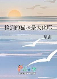 我捡到猫了