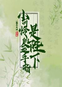 小可怜手握网文剧本txt