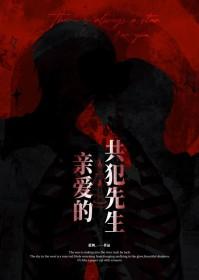 亲爱的共犯先生笔趣阁