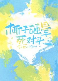 椰子砸死人赔偿