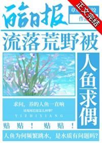 流落荒岛是谁
