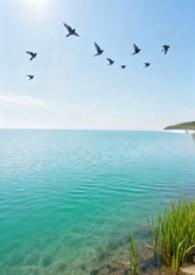 归去来兮辞翻译