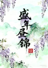 盛年锦时讲的是什么